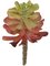 Earthflora's 3 Inch Fire Retardant Mauve & Green Echeveria Pick