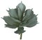 Earthflora's 13 Inch Soft Touch Blueish Green Agave Plant