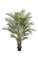 6' Areca Palm Tree - 30 Fronds - Weighted Base