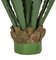 Earthflora's 36 Inch Large Outdoor UV Agave Pandanus Plant In Green Or Burgundy