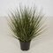 Earthflora's 18 Inch Pvc Mixed Green/brown Onion Grass In Pot