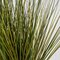 Earthflora's 18 Inch Pvc Mixed Green/brown Onion Grass In Pot