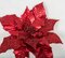 Earthflora's 22 L Inch X 17 W Inch Metallic/sequined Poinsettia Spray In Gold, Red, Champagne Gol...