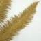 Earthflora's 29 Inch Decorative Gold Glittered Fern Leaf Pick
