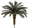Earthflora's 3.5 Feet, 5.5 Feet, And 6.5 Feet Tall X 48 Inch Width - Polyblend Cycas Palm Trees