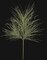 Earthflora's 30 Inch Glittered Long Leaf Pine Spray In Light Green, Gold/silver, Or Platinum Champagne
