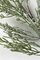 Earthflora's 39 Inch Frosted Natural Pine Spray Branch
