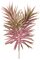Earthflora's 6 Inch Pink Or Light Green Crassula Pick