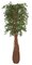 Earthflora's 7 Foot Live Oak Tree With Exotic Wood Trunk