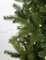 Earthflora's 7.5 Ft, 9 Ft., 12 Ft. And 15 Ft. Slim Douglas Fir Trees