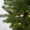 Earthflora's 7.5 Ft, 9 Ft., 12 Ft. And 15 Ft. Slim Douglas Fir Trees