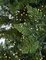 Earthflora's 7.5 Ft., 9 Ft., And 12 Ft. Medium Polaris Pine Tree With Multi-functional Mini Led Lights