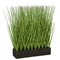 Earthflora's Planted Rectangle Pvc Onion Grass - 3 Sizes - 11 Inches, 16 Inches, And 19 Inches