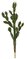 Earthflora's Prickly Pear Cactus With Needles - 42 Inches Or 52 Inches Tall