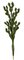 Earthflora's Prickly Pear Cactus With Needles - 42 Inches Or 52 Inches Tall
