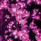 8 feet Cherry Blossom Christmas Tree - 2,016 Pink 5mm LED Lights - Brown Trunk/Branches