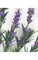 24" Plastic Lavender Bush - 18 Stems - Purple - 4.5" Stem - Bare Stem