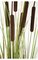 48" PVC Cattail Grass Bush - 7 Brown Cattails - Brown/Green - Weighted Base