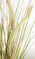 A-130613 24" PVC Foxtail Onion Grass Bush - 5 Foxtails - Cream/Green