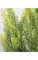 19" Plastic Verbena Bush - 84 Yellow/Green Leaves - Bare Stem