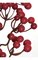 25" Lacquered Ilex Berry Spray Mixed Red