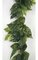 6' Pothos Garland - Soft Touch - Green/Cream