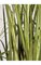 60" PVC Wide Leaf Onion Grass Bush - 36" Width - Mixed Green - Weighted Base