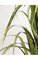 60" PVC Wide Leaf Onion Grass Bush - 36" Width - Mixed Green - Weighted Base