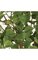 38" Birch Bush - 3 Stems - Light Green - 24" Foliage Height - 20" Width - Bare Stem
