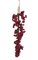 Berry Icicle Red