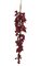 Berry Icicle Red