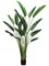 EF-608 8' Bird of Paradise Plant w/18 Lvs. in Plastic Pot Green (Price is for a 2 whole palms)