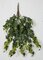 24 Inch Outdoor UV Hanging English Ivy Vine
