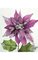 29" Glittered/Sequined Poinsettia Stem Purple/Silver