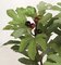 P-130950 3' Fig Tree - Synthetic Trunk - 60 Leaves - 21 Fruit - Green