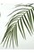 8.5' Phoenix Palm Tree - Synthetic Double Trunk - 2,660 Leaves - 44 Fronds - Weighted Base