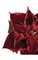 28" Glittered Poinsettia Stem Red/Burgundy