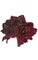 28" Amaryllis Stem Red