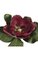 31" Magnolia Spray Wine