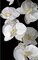 5.5' Sequin/Beaded Phalaenopsis Spray White