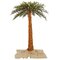 Lighted Palm Trees Various Sizes to choose from!