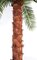 WR-150130 13' Phoenix Palm Tree - Natural Boot Trunk - 28 Fronds- FIRE RETARDANT 