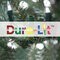6 foot Outdoor Palm Tree Dura-Lit 300WW