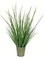 28 inches Green Reed Grass In Iron Pot