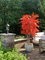 6 Foot Custom Made Polyblend Outdoor Japanese Maple Tree Autumn Fall Orange