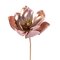 13" Rose Gold Magnolia Pick 3/Bag