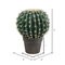 9.5" Green Cactus Ball in Gray/Red Pot