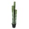54 inches Green Potted Cactus
