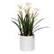16.5" White Daffodil in Ceramic Pot