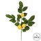 20" Green Salal Leaf Lemon Spray 4/Pk
